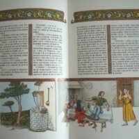 La Celestina, Tragicomedy of Calisto and Melibea, Fernando de Rojas, deluxe edition - Image 4