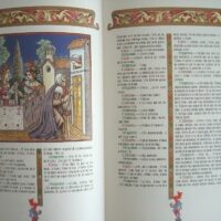 La Celestina, Tragicomedy of Calisto and Melibea, Fernando de Rojas, deluxe edition - Image 5