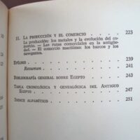 Ancient Egypt. Manuel Beltrán del Alisal. Bruguera, ed. special 1979 - Image 7