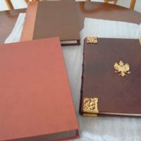 Genealogy of the Kings of Spain (Anacephaleosis), year c. 1530 (with exclusive case)