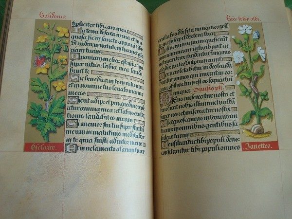 Libro de Horas de la Reina Ana de Bretaña, c. 1505