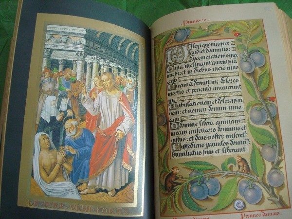 Book of Hours of Anne of Brittany, c. 1505 - Image 8
