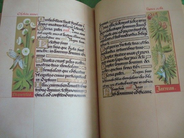 Book of Hours of Anne of Brittany, c. 1505 - Image 9