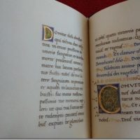 Book of Hours of Lorenzo de 'Medici, s. XV (5*) - Image 5