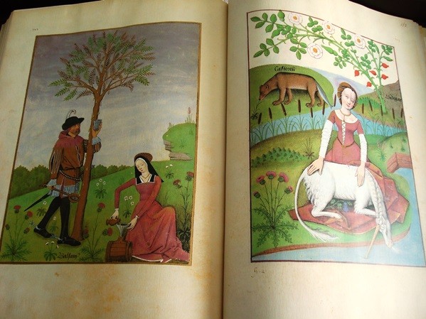 Libro de los Medicamentos Simples, siglo XV