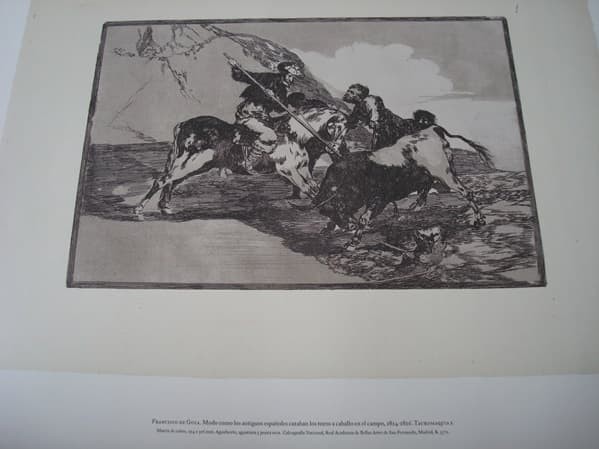 La Tauromaquia de Goya (Planeta EDP)