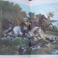 Hunting, hunting stories in Spain - Image 3
