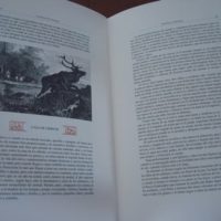 Hunting, hunting stories in Spain - Image 4
