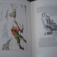 Hunting, hunting stories in Spain - Image 5