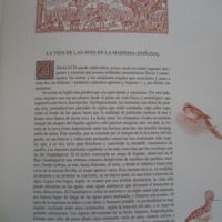 Hunting, hunting stories in Spain - Image 6