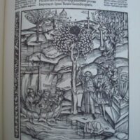 The Aeneid. Virgil. Círculo del Bibliófilo, 1979 - Image 7