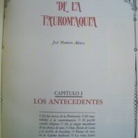 Bulls and bullfighters. General History of Bullfighting. 5 volumes. 1990-1991 - Image 16