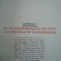 Bulls and bullfighters. General History of Bullfighting. 5 volumes. 1990-1991 - Image 17