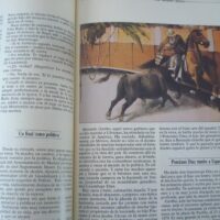 Bulls and bullfighters. General History of Bullfighting. 5 volumes. 1990-1991 - Image 18