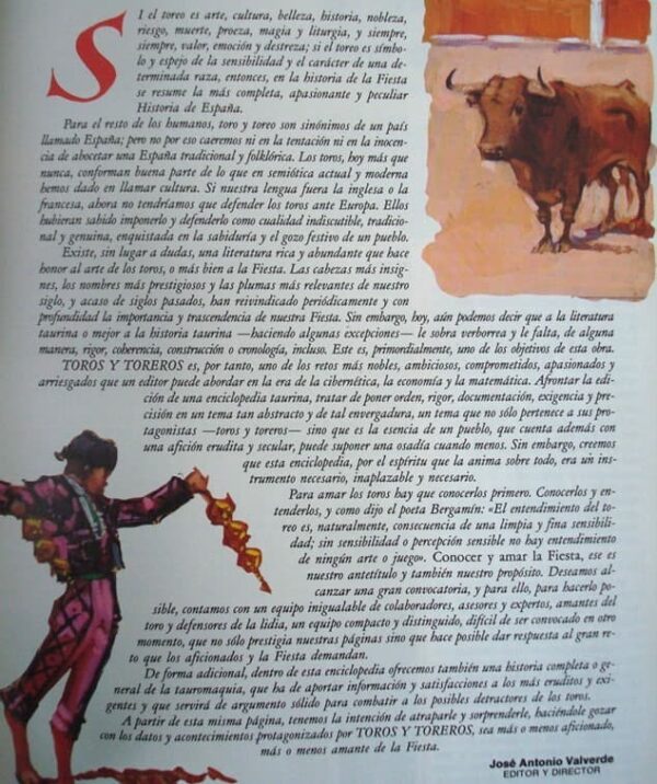 Bulls and bullfighters. General History of Bullfighting. 5 volumes. 1990-1991 - Image 4