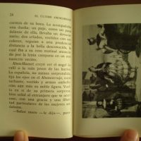 The last Abencerraje, Chateaubriand - Image 6