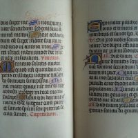 Book of Hours of Vrelant, or Leonor de la Vega, c. 1468 - Image 8