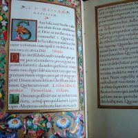 Book of Hours of Philip II, year 1568, Escorial - Image 8