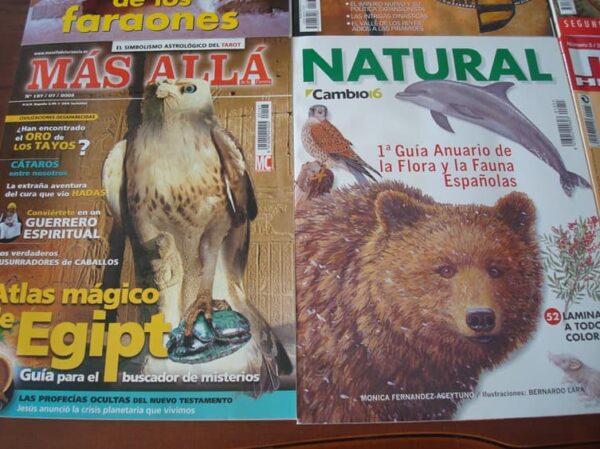 Lote con 14 revistas 1971-2006: MUY, Más Allá, Historia, Rutas… - Imagen 3