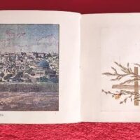 1917 Herbarium Flowers from the Holy Land, mini book - Image 4
