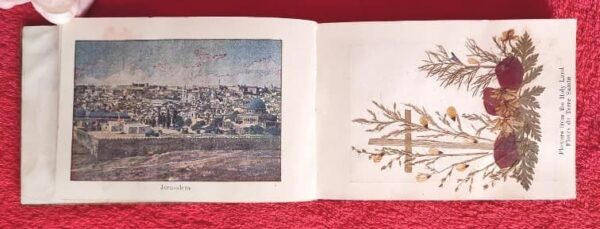 1917 Herbarium Flowers from the Holy Land, mini book - Image 4