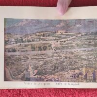 1917 Herbarium Flowers from the Holy Land, mini book - Image 8