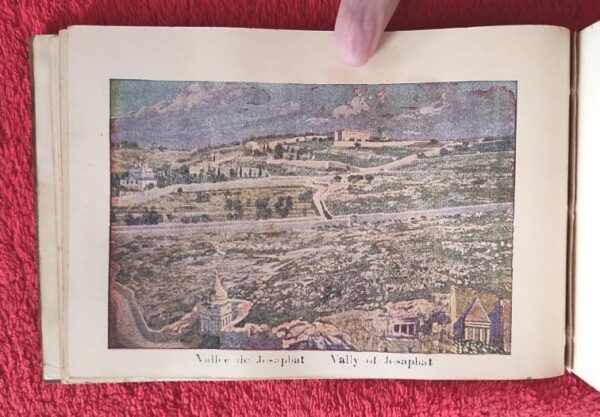 1917 Herbarium Flowers from the Holy Land, mini book - Image 8