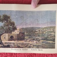 1917 Herbarium Flowers from the Holy Land, mini book - Image 9