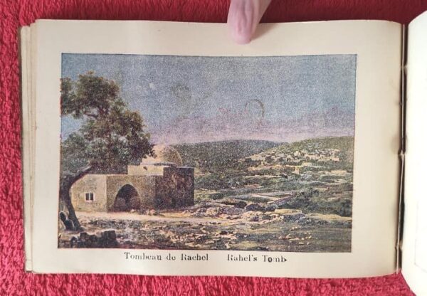 1917 Herbarium Flowers from the Holy Land, mini book - Image 9