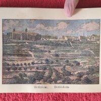 1917 Herbarium Flowers from the Holy Land, mini book - Image 11
