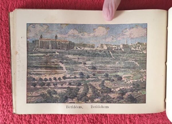1917 Herbarium Flowers from the Holy Land, mini book - Image 11