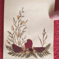 1917 Herbarium Flowers from the Holy Land, mini book - Image 12