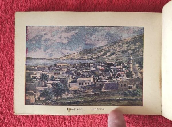1917 Herbarium Flowers from the Holy Land, mini book - Image 13
