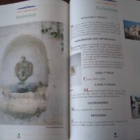 Getting to know Málaga. 2 volumes. Francisco Lancha. SUR, ca. 1994 - Image 10