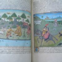 Book of the Wonders of the World: Secrets of Natural History, s. XV - Image 9
