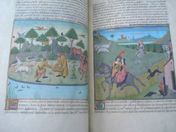 Libro de las Maravillas del Mundo: secretos de historia natural, s. XV - Imagen 9