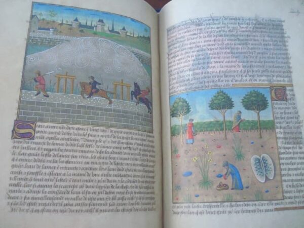 Libro de las Maravillas del Mundo: secretos de historia natural, s. XV - Imagen 10