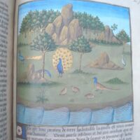 Book of the Wonders of the World: Secrets of Natural History, s. XV - Image 11