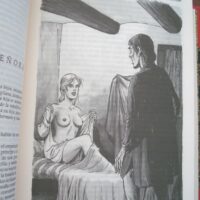The Decameron. Boccaccio. 1997. Artisan binding - Image 9