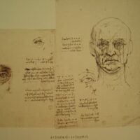 Leonardo da Vinci's drawings in the Royal Library of Turin. Giunti, 1990 - Image 15