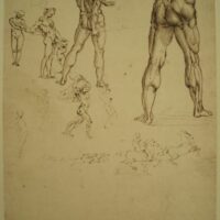 Leonardo da Vinci's drawings in the Royal Library of Turin. Giunti, 1990 - Image 16