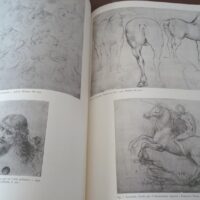 Leonardo da Vinci's drawings in the Royal Library of Turin. Giunti, 1990 - Image 20