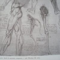 Leonardo da Vinci's drawings in the Royal Library of Turin. Giunti, 1990 - Image 22