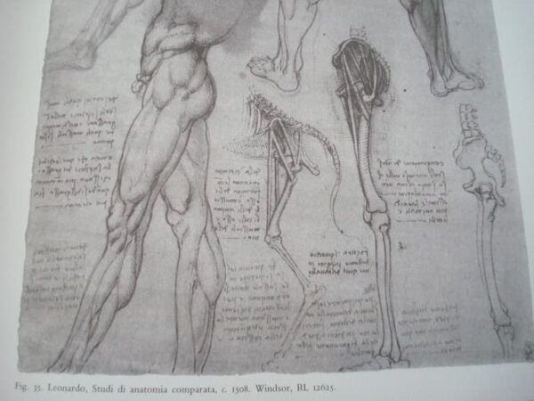 Leonardo da Vinci's drawings in the Royal Library of Turin. Giunti, 1990 - Image 22