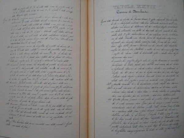 Leonardo da Vinci's drawings in the Royal Library of Turin. Giunti, 1990 - Image 24