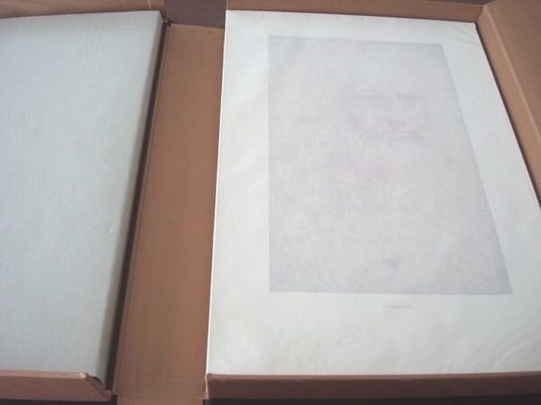 Leonardo da Vinci's drawings in the Royal Library of Turin. Giunti, 1990 - Image 6