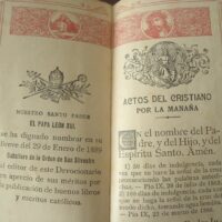 1889 Brand new Divine Diamond. Pocket devotional. Original copy ca. 1889 - Image 3