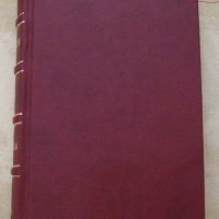 1889 Leopoldo Alas Clarín, Mezclilla (crítica y sátira)