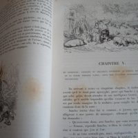 1869 L'Ingénieux Hidalgo Don Quichotte de la Manche - Image 9