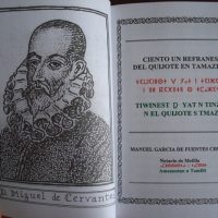 2005 One hundred and one sayings of Don Quixote in Tamazight, first edition - Image 3